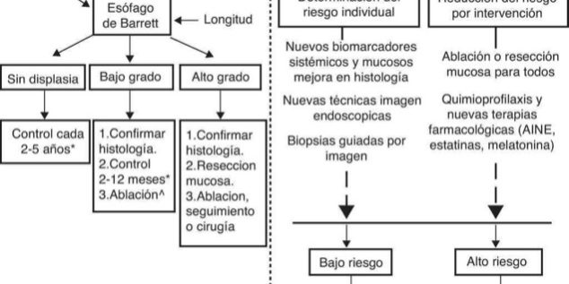 Presente y futuro de la enfermedad de Esófago de Barret