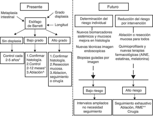 Presente y futuro de la enfermedad de Esófago de Barret