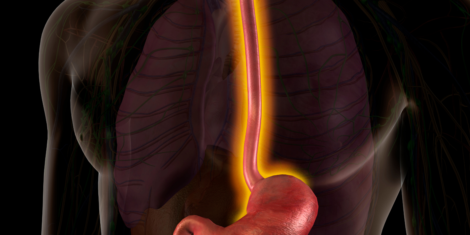 Posibles alteraciones relacionadas con el esófago de Barrett