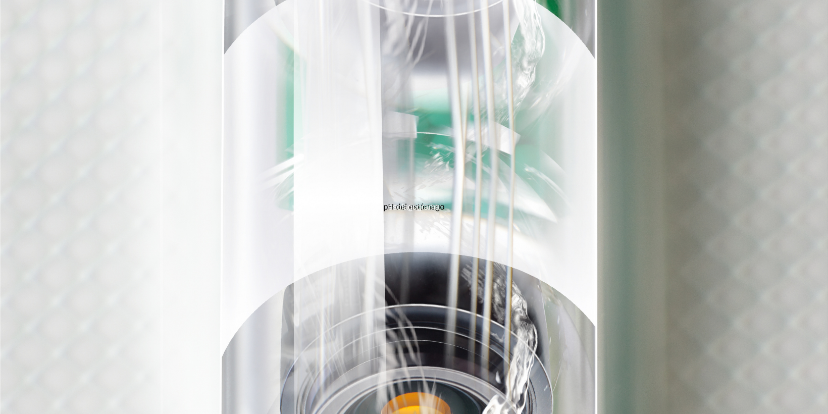 Prueba de Heidelberg